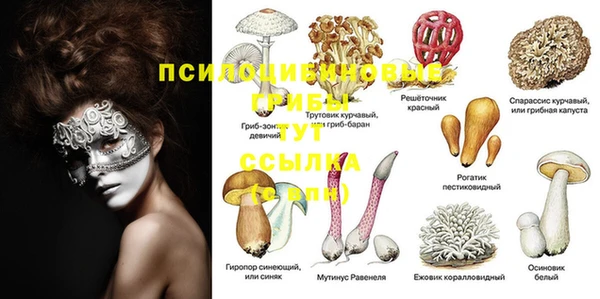 гашишное масло Горняк