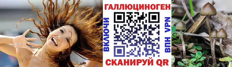 Псилоцибиновые грибы ЛСД  Купить  Коммунар 